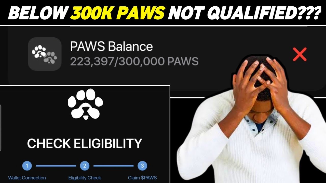 PAWS ELIGIBILITY CHECK: IS BELOW 300K PAWS  QUALIFIED?