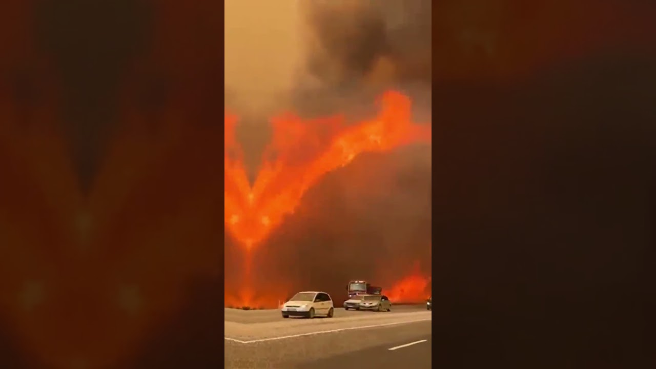🔥 T&uuml;rkiye in Flames! Massive Wildfire Forces Evacuations as Fire Sweeps Through Muğla Forests!