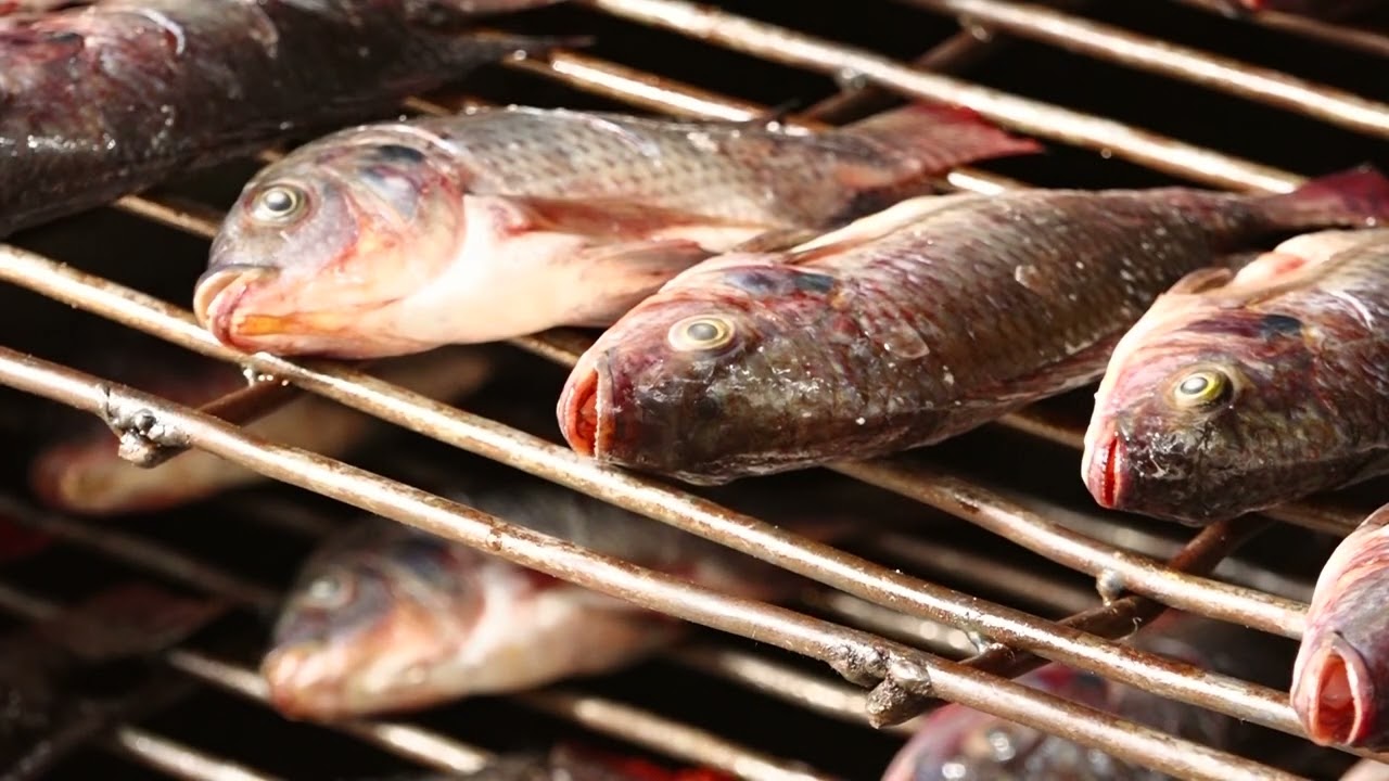 FISH FARMING IN UGANDA