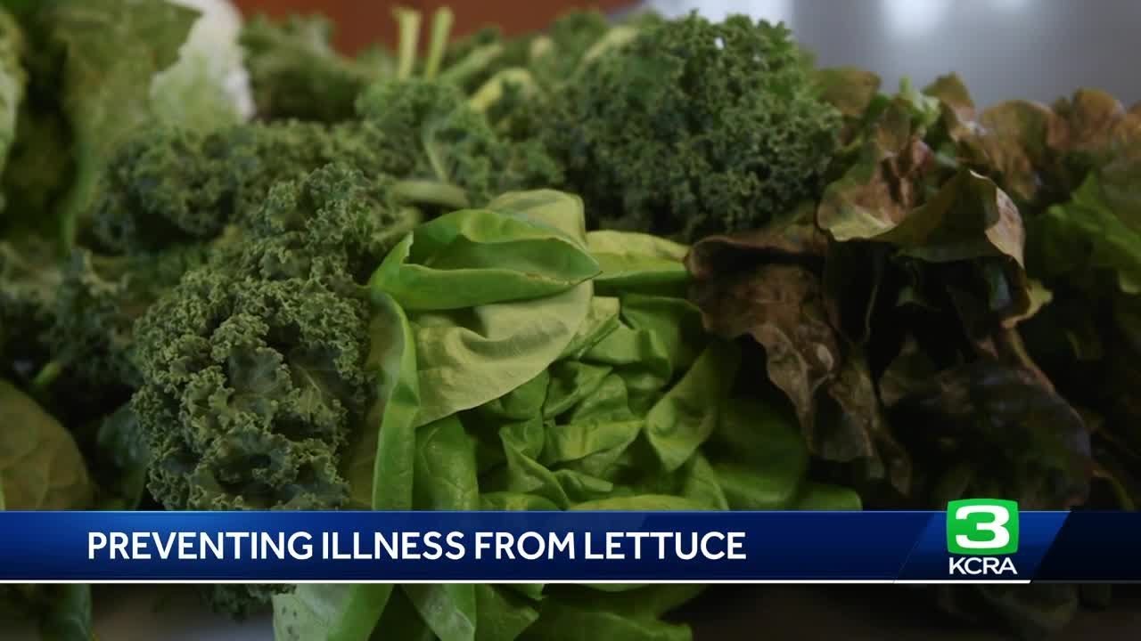 Consumer Reports: Here are precautions you can take for safer salads