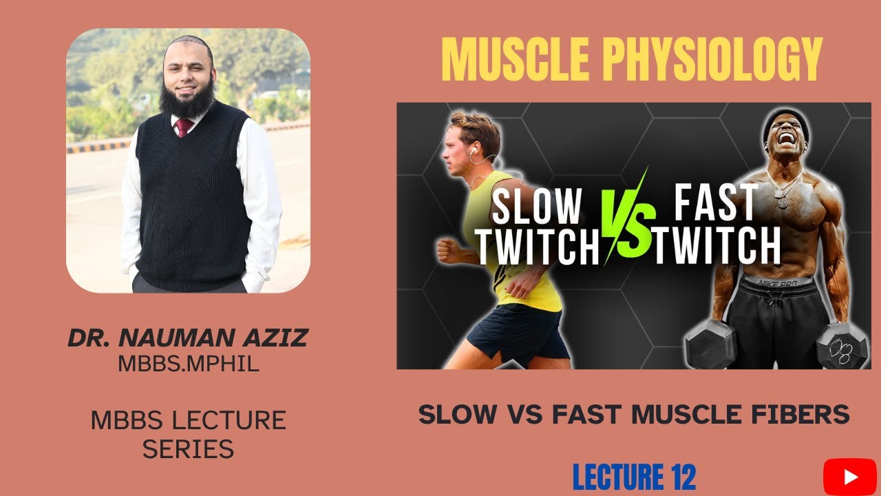 DIFFERENCE BETWEEN SLOW AND FAST MUSCLE FIBERS | NERVE & MUSCLE PHYSIOLOGY | DR NAUMAN AZIZ | 2025