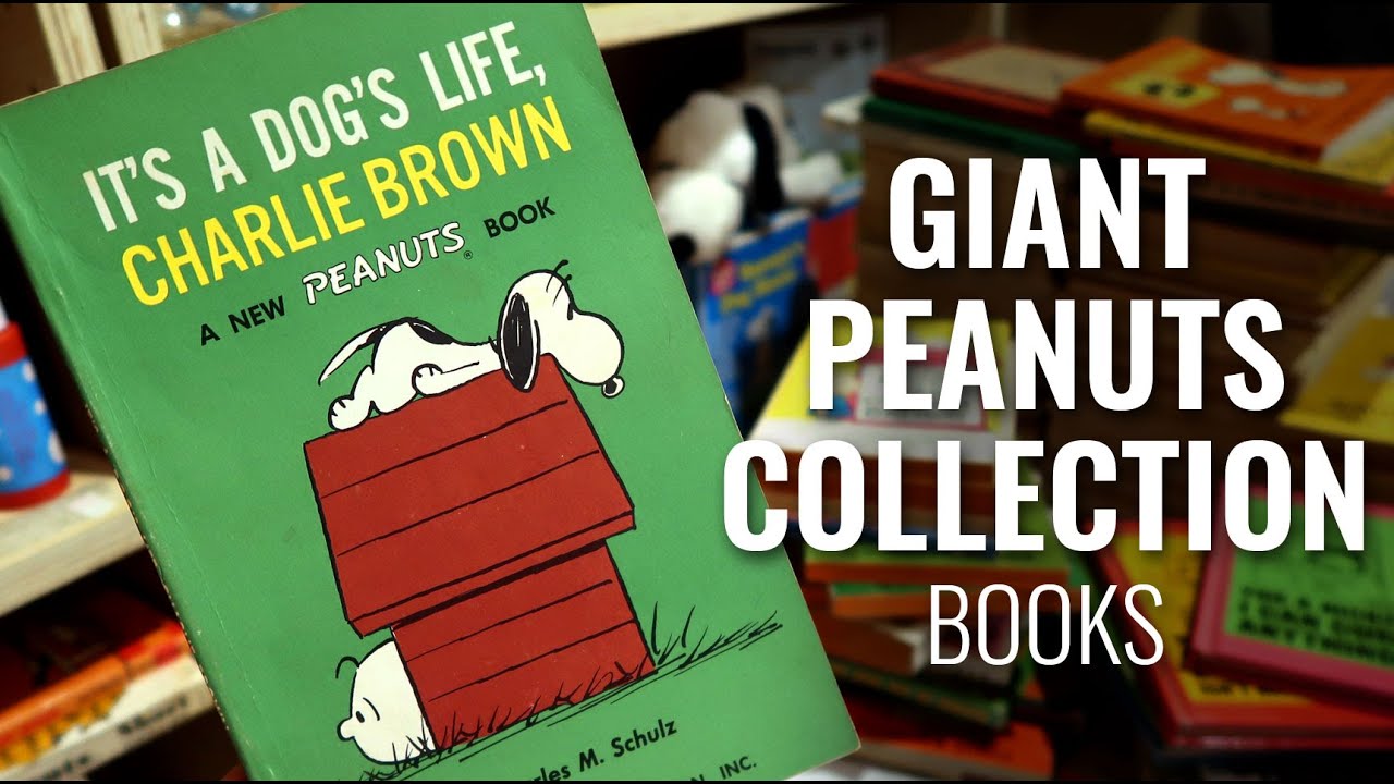 Mountain of Snoopy and Peanuts Books! Mystery Box Opening | CollectPeanuts.com