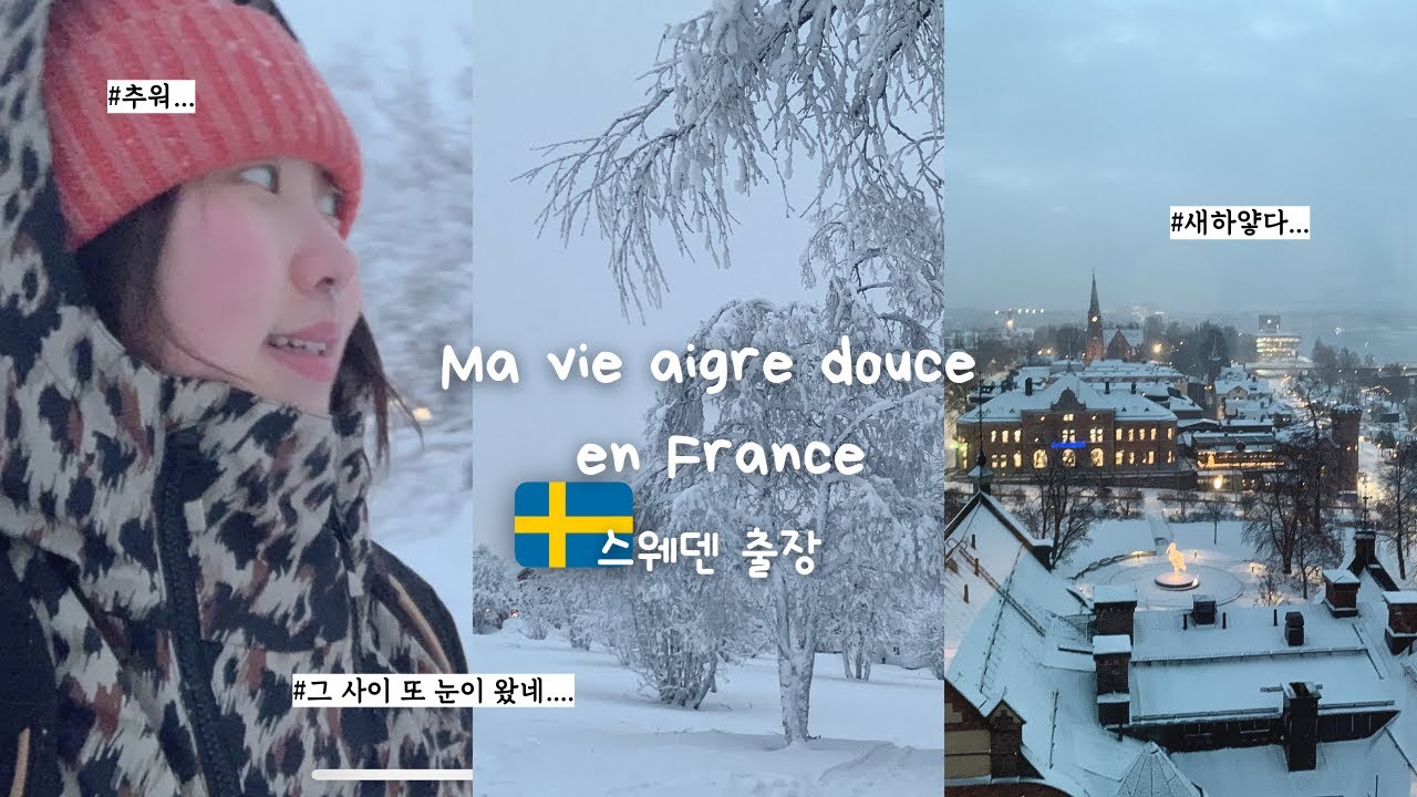 [파리 직장인 일상] 🇸🇪스웨덴 우메오 & 키루나 출장겸 여행ㅣ충격적인 숙소 😱ㅣ키루나 오로라 투어