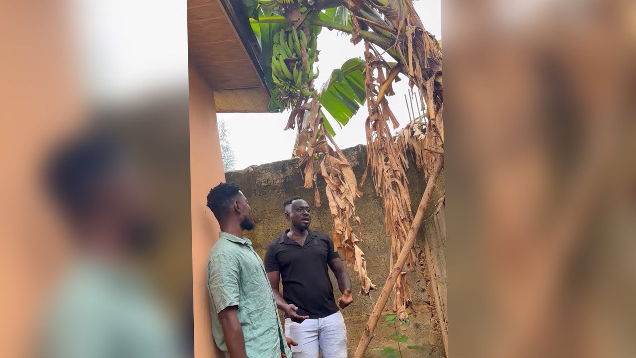 MUST WATCH:VERY CONTROV£RSIAL VIDEO,PLEASE WHO IS THE OWNER OF THIS PLANTAIN ,kwaw weezy or DNA🤣🤣