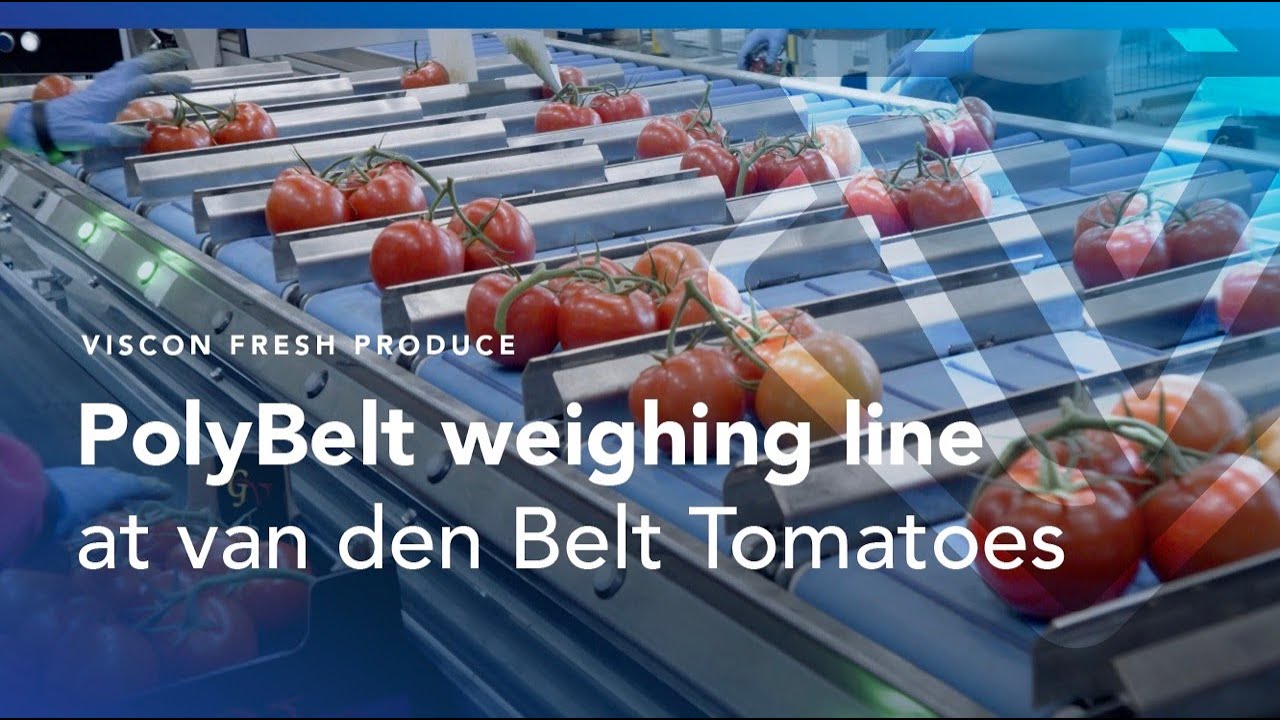 Viscon Fresh Produce - Polybelt weighing line