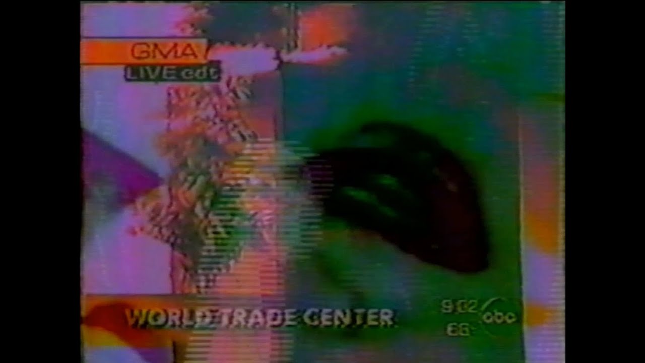 Vaporwave ALIVE! 2025 music festival VHS