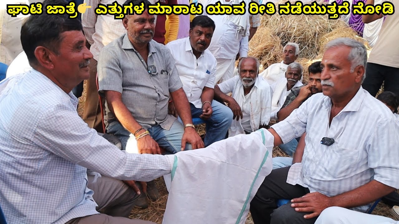 ಘಾಟಿ ಜಾತ್ರೆ 👉 ಎತ್ತುಗಳ ಮಾರಾಟ ಯಾವ ರೀತಿ ನಡೆಯುತ್ತದೆ ನೋಡಿ / Ghati Cattle Fair - 2023 / Hallikar / Hori