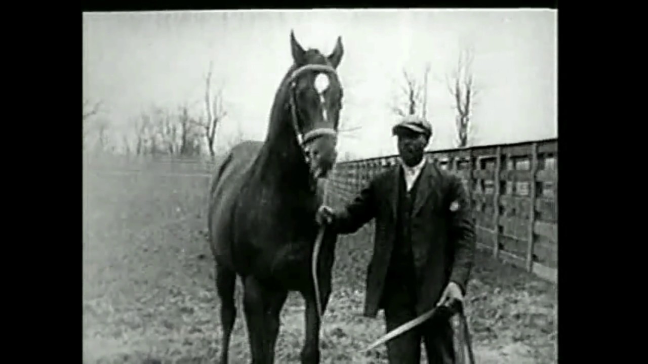 A tribute to Man O' War {The Greatest} RIP to the original Big Red