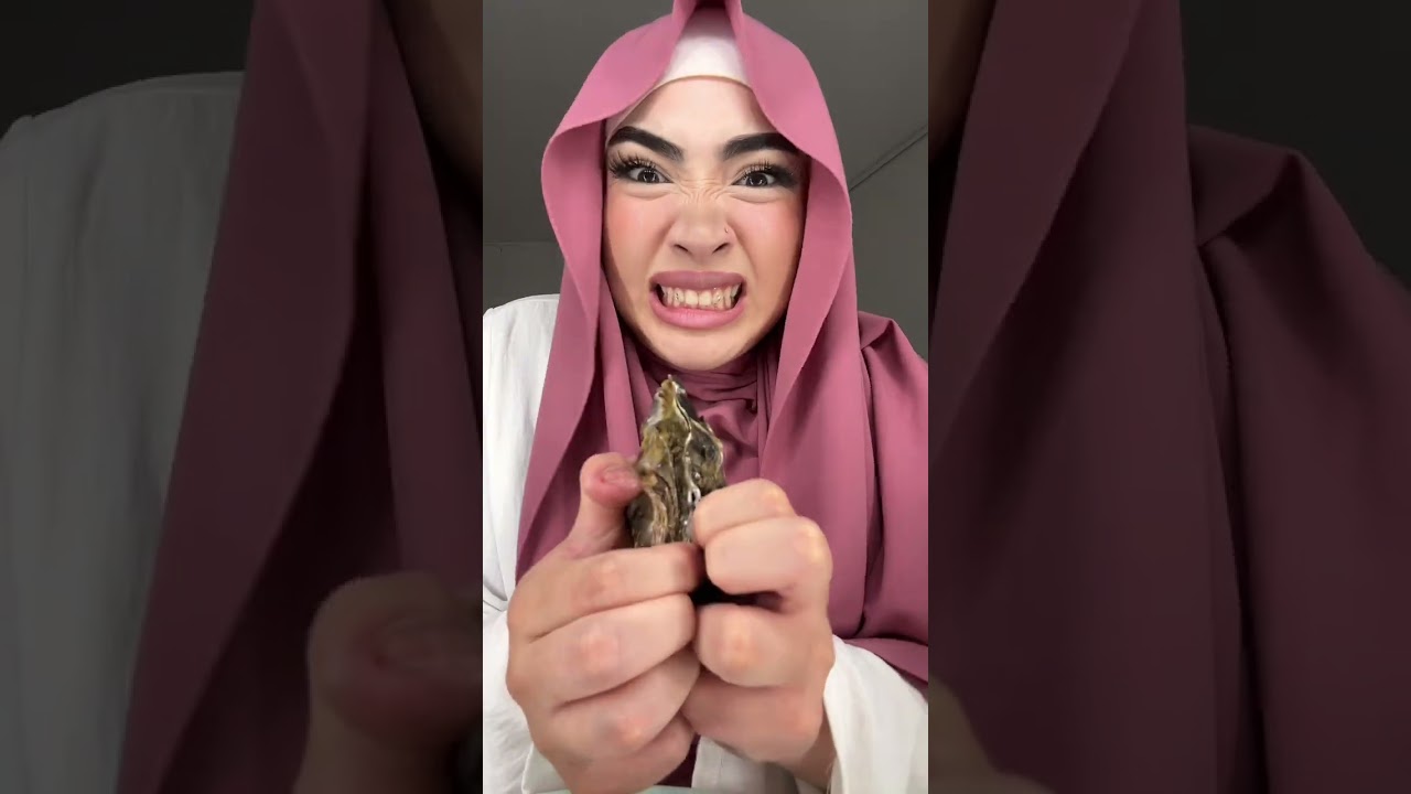 D&eacute;gustation hu&icirc;tres 🦪 #pourtoi  #fyp  #degustation