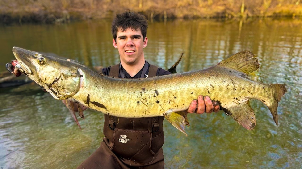 The Cold Water MUSKY Pattern That Actually Works! (Multiple Musky Caught)