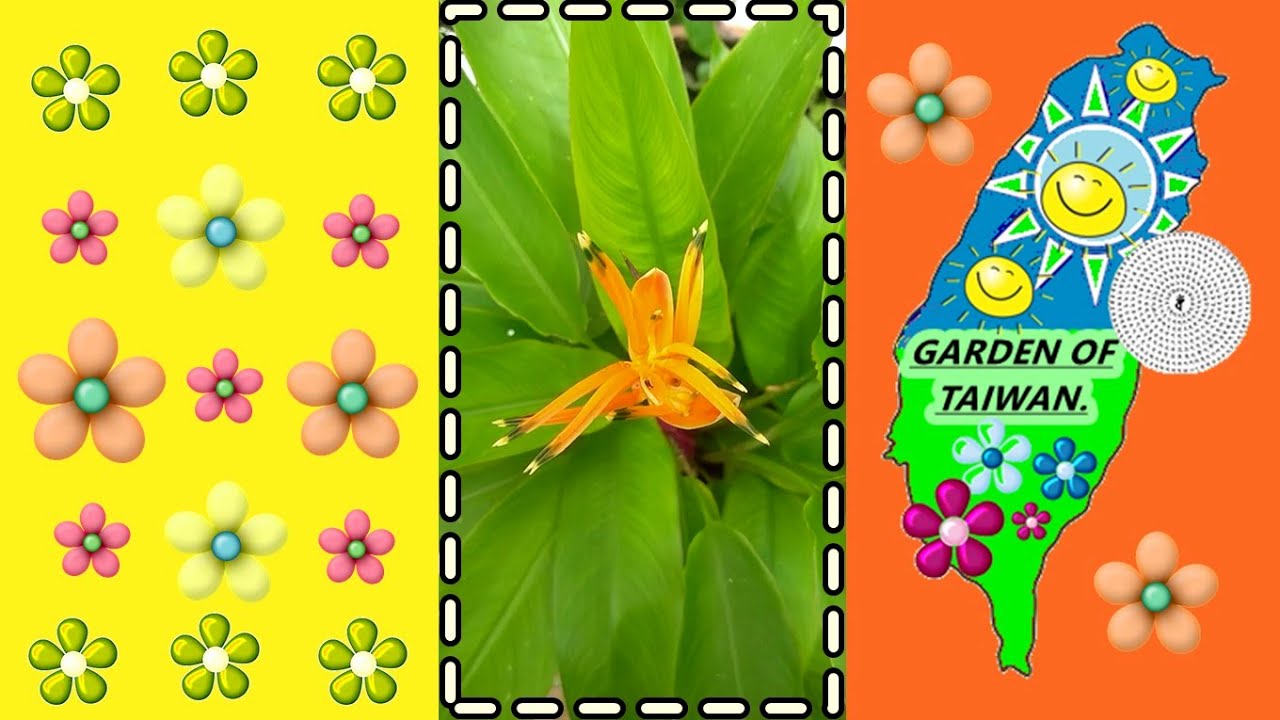 Estrel&iacute;tzia