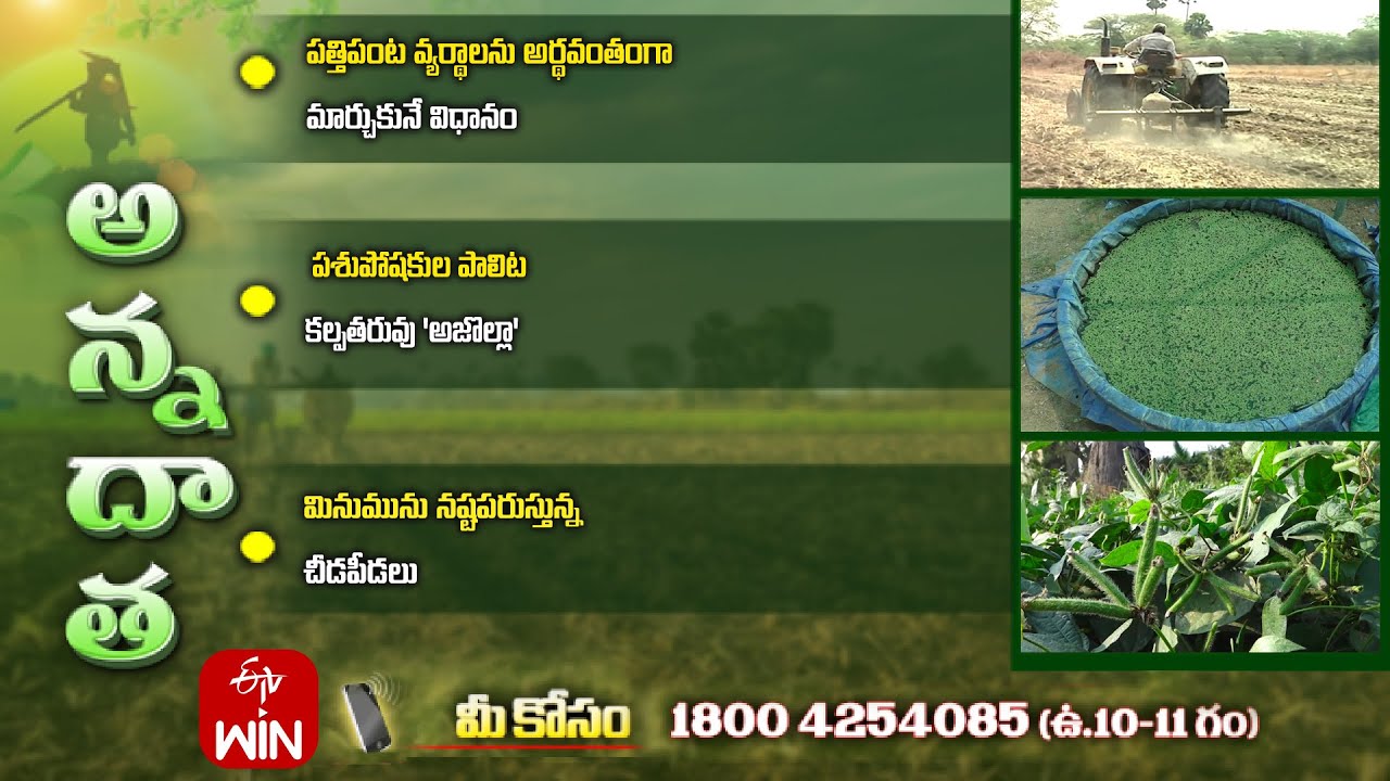 30th January 2026 | Annadata | అన్నదాత | Full Episode | ETV Telugu