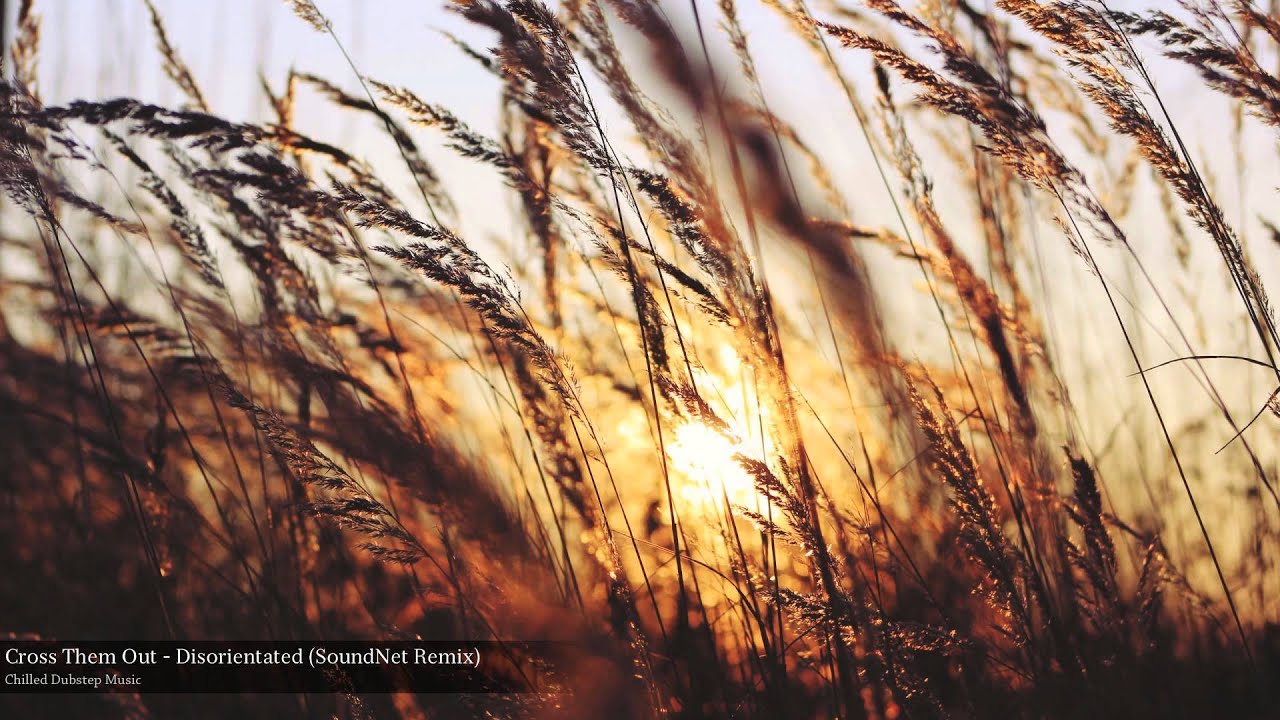 Cross Them Out - Disorientated (SoundNet Remix)