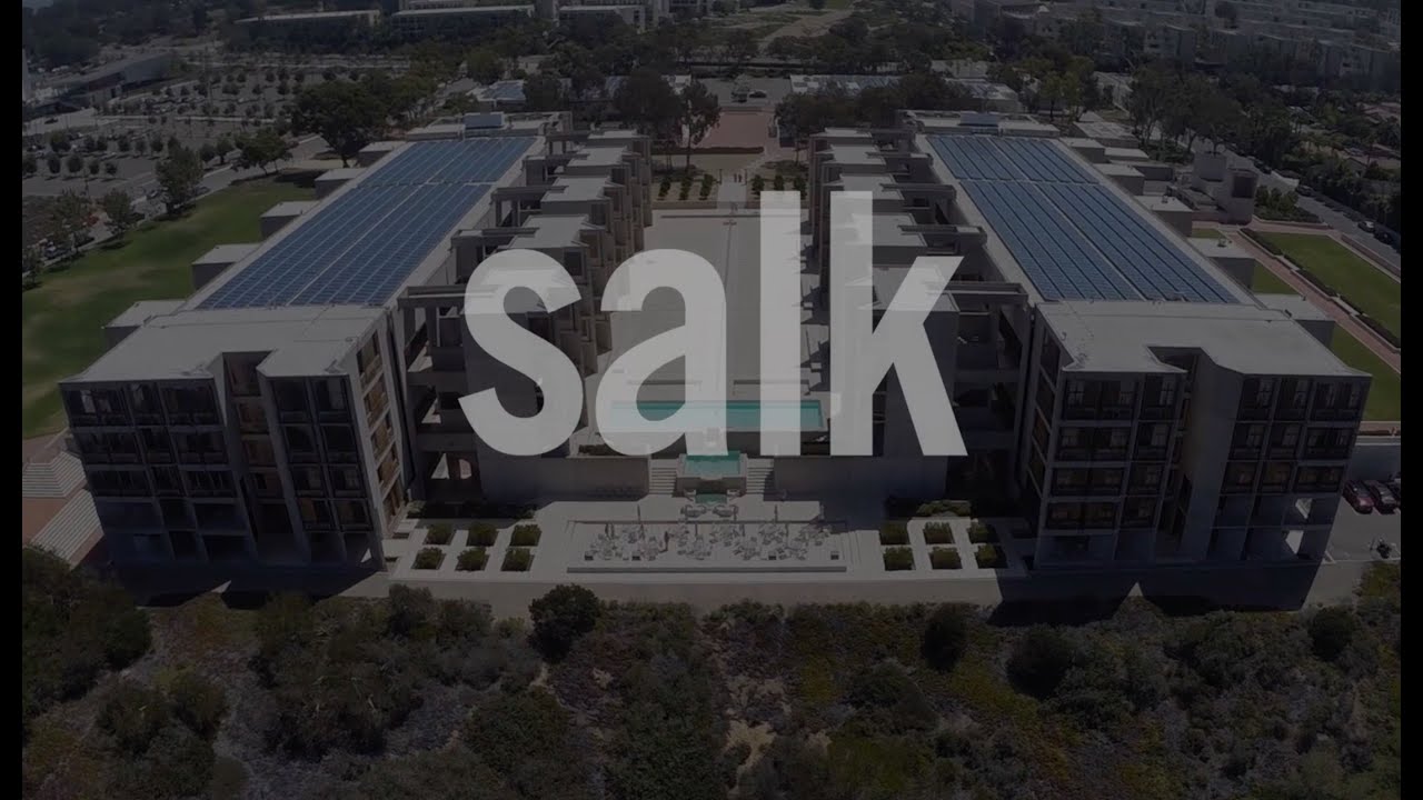 The Salk Institute: Where Cures Begin