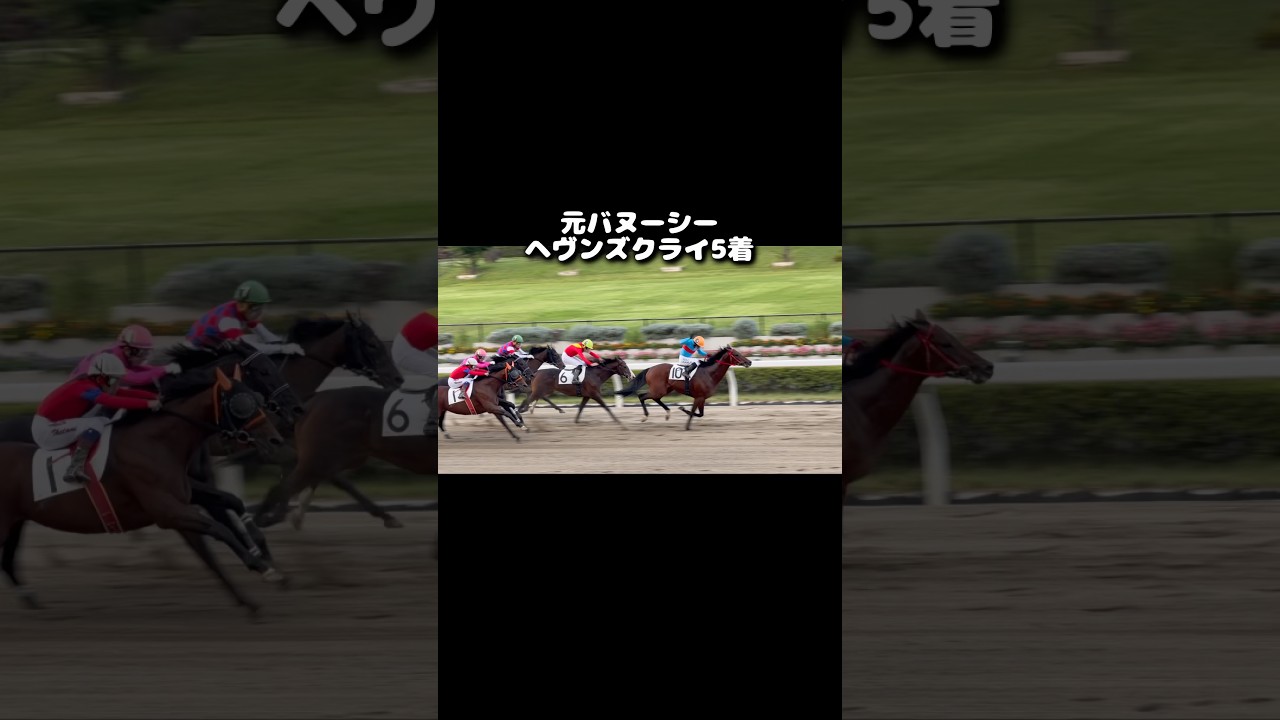 元バヌーシー ヘヴンズクライ5着#shorts #horse #競馬 #バヌーシー