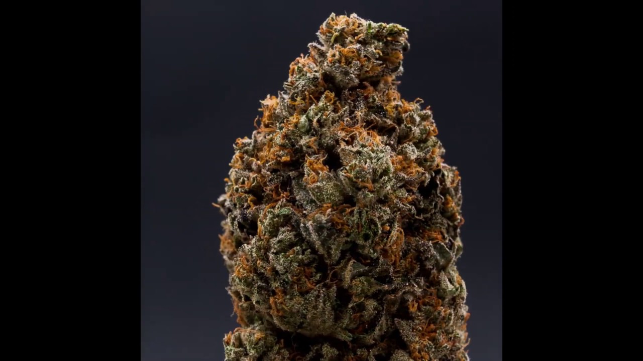 Guava Kush 360