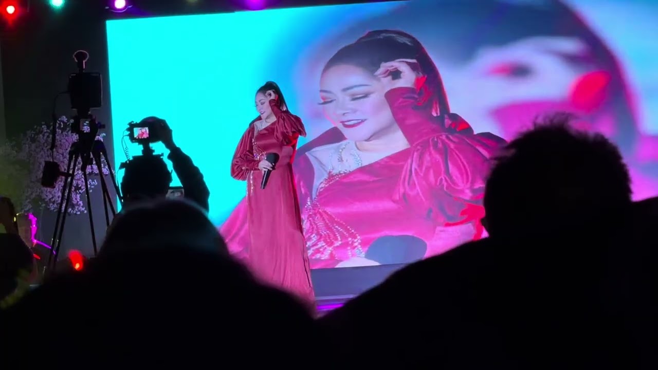 Ca Sỹ Như Quỳnh hát Hội Chợ Tết tại Morrow GA, Valentine’s Day 2026