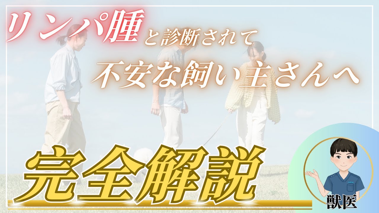 【獣医師解説】リンパ腫と診断されて不安な飼い主さんへ