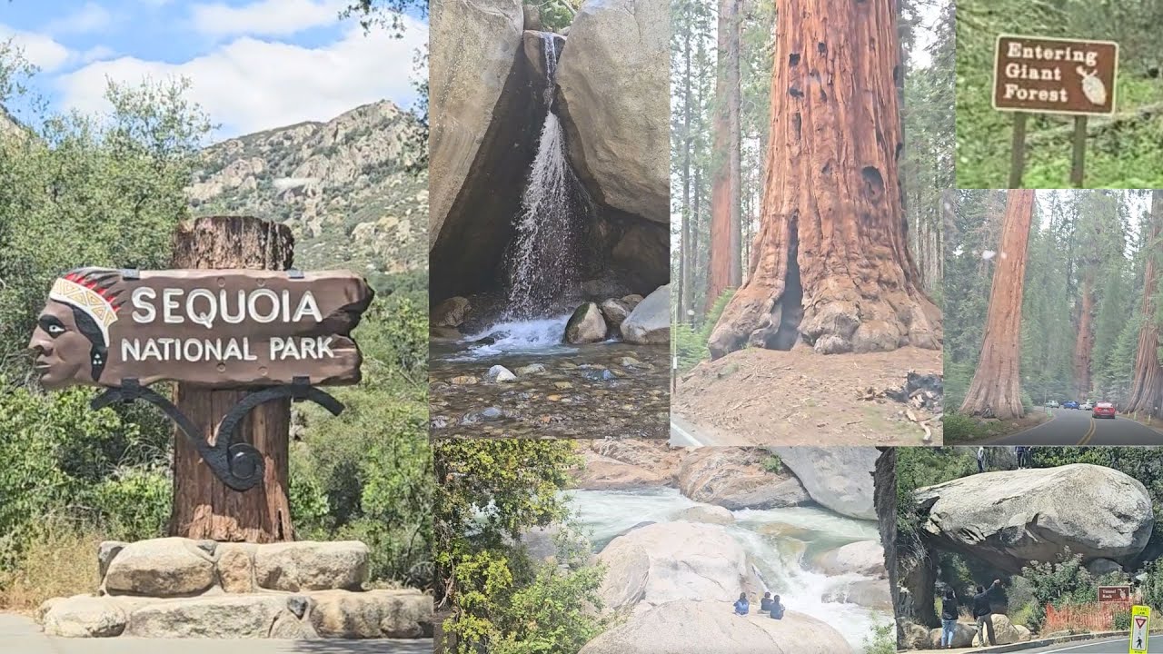 Sequoia National Park |  Tunnel Rock | Hospital Rock Trail | Kaweah River | Giant Sequoia Trees