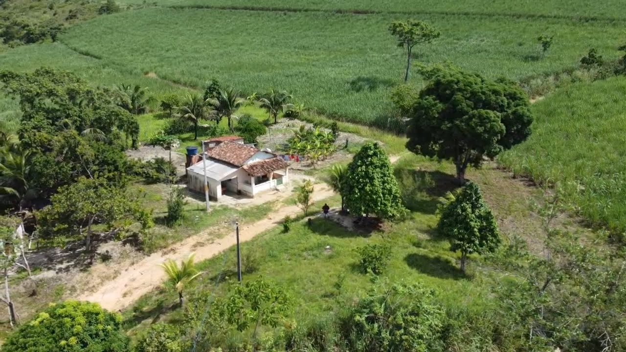 Vende se esse sítio no Engenho Bela vista zona rural Palmares PE 80 mil (081)94725111