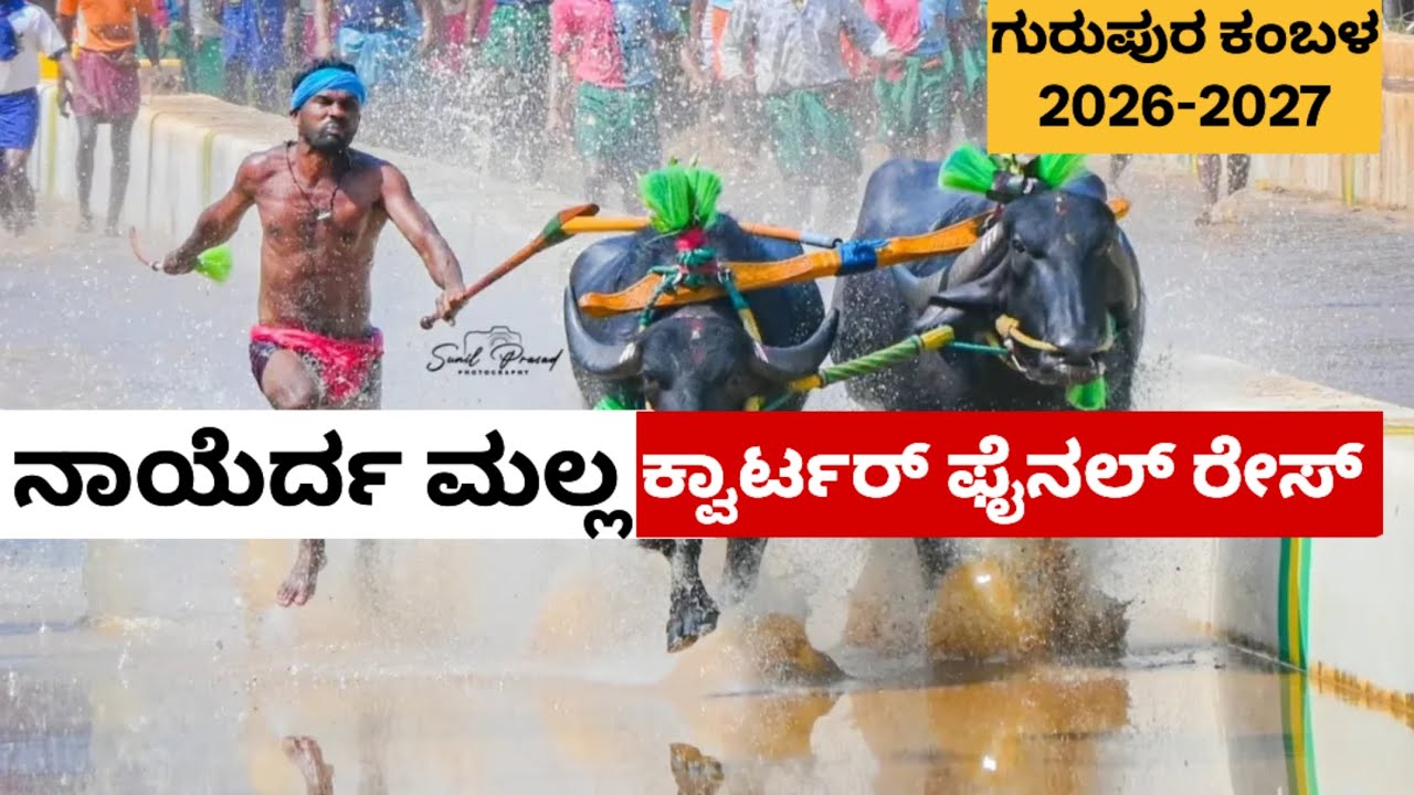 Nayerda Malla Quarter Final Gurupura Muluru Adduru Jodukare Kambala 2026 