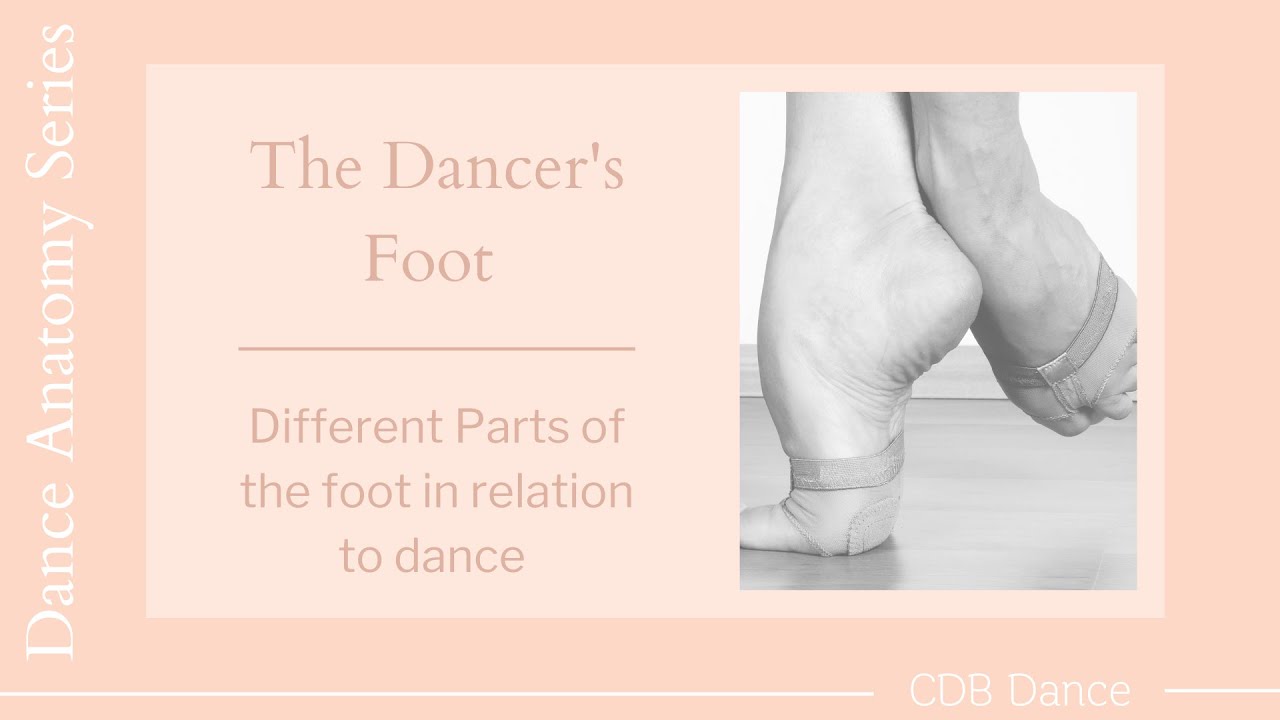 A dancer's foot - Different parts of the foot important for dance