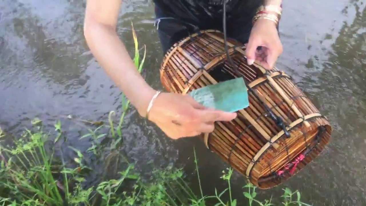 Net Fishing In Cambodia 2017 - Khmer Net Fishing - How To catch fish by hand