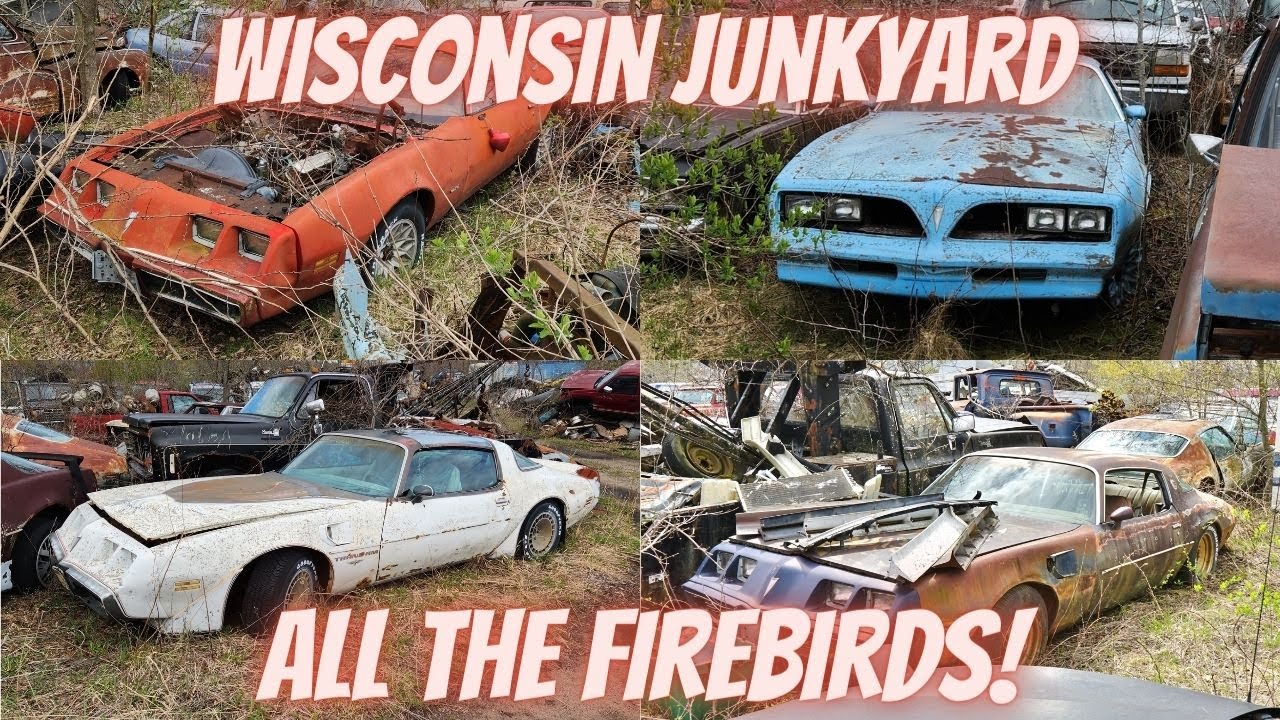 Trans Am Firebirds на свалке в Висконсине!