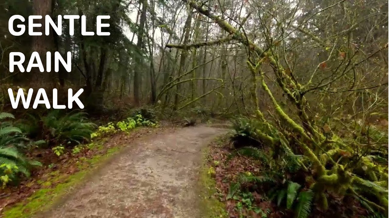 Gentle Rain Walk 🌿 Urban Forest Park BC | Natural Sounds Only
