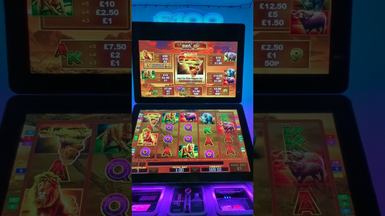 Wild adventure Big 5  leopard edition + two win  features on the aurora blueprint machine