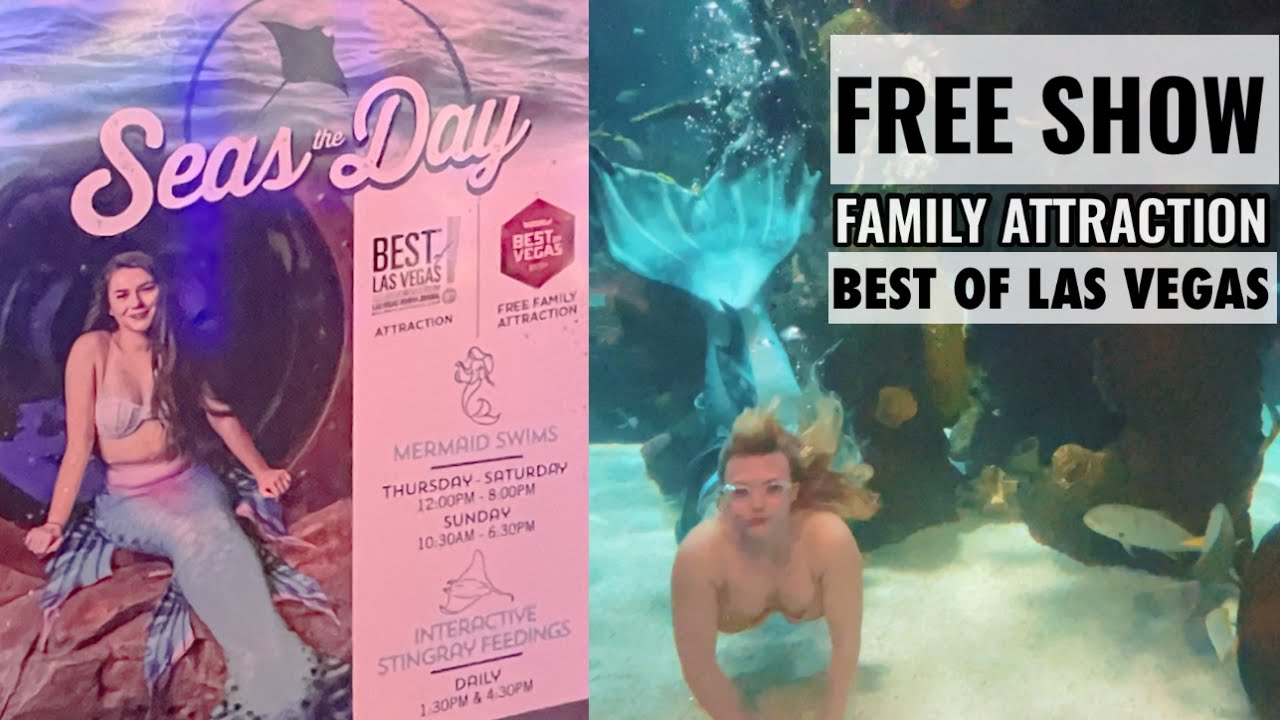 Mermaid Show in Las Vegas || The Aquarium at Silverton Hotel & Casino
