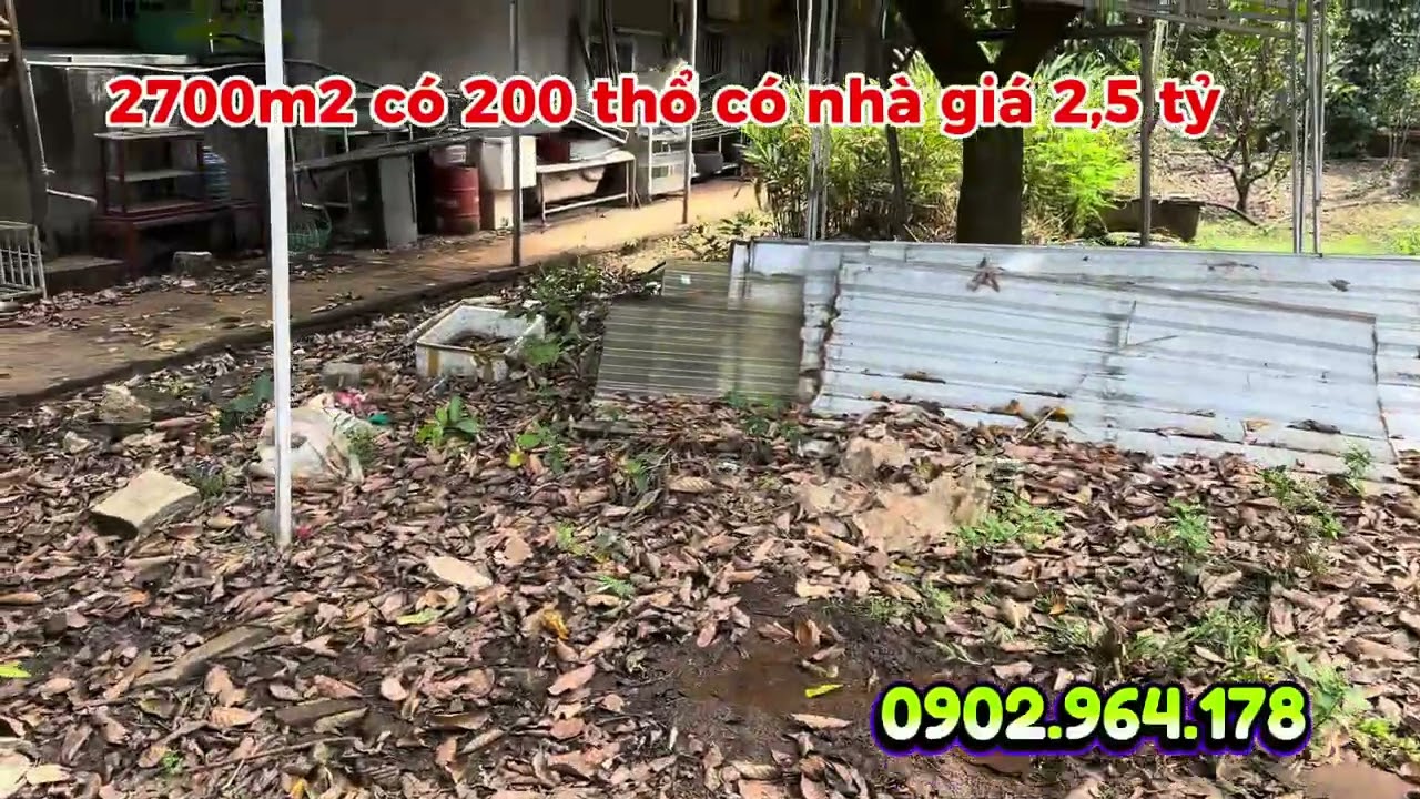 2700m2 ngay chân Núi Chứa Chan, VƯỜN TRÁI CÂY ĐỦ LOẠI CÓ NHÀ CÓ 200 thổ giá 2,5 tỷ. Tuyệt phẩm ND