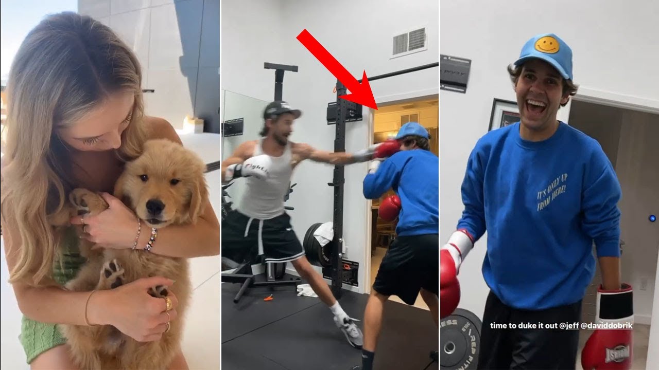 Jeff Wittek Punches David Dobrik in the Face! - Vlog Squad Instagram Stories 86