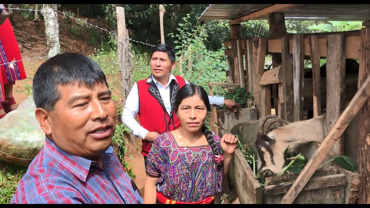 A Hopeful Visit to a Thriving Family Farm in Guatemala