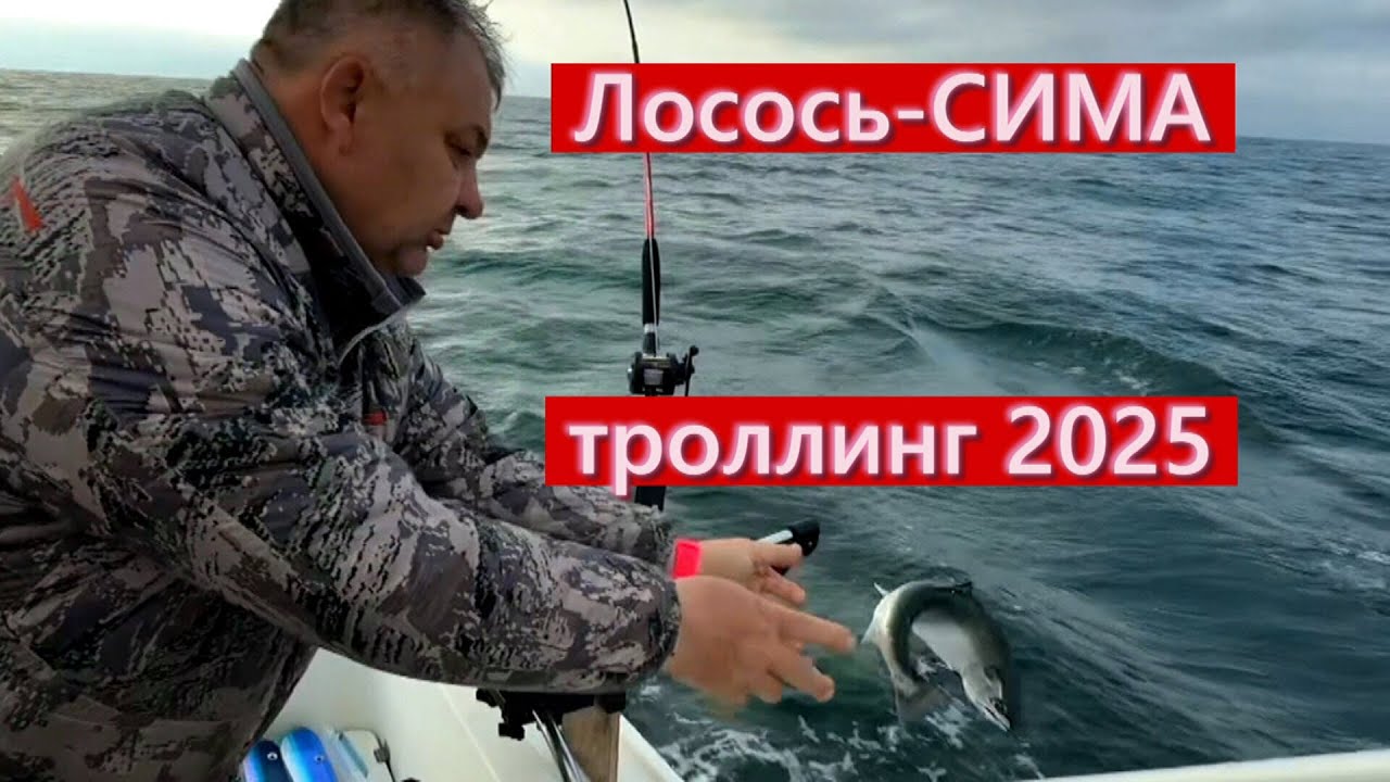 Лосось -СИМА троллинг 2025