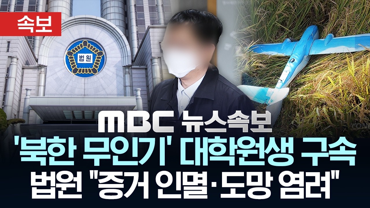 [속보] '북한 무인기' 대학원생 구속, 법원 