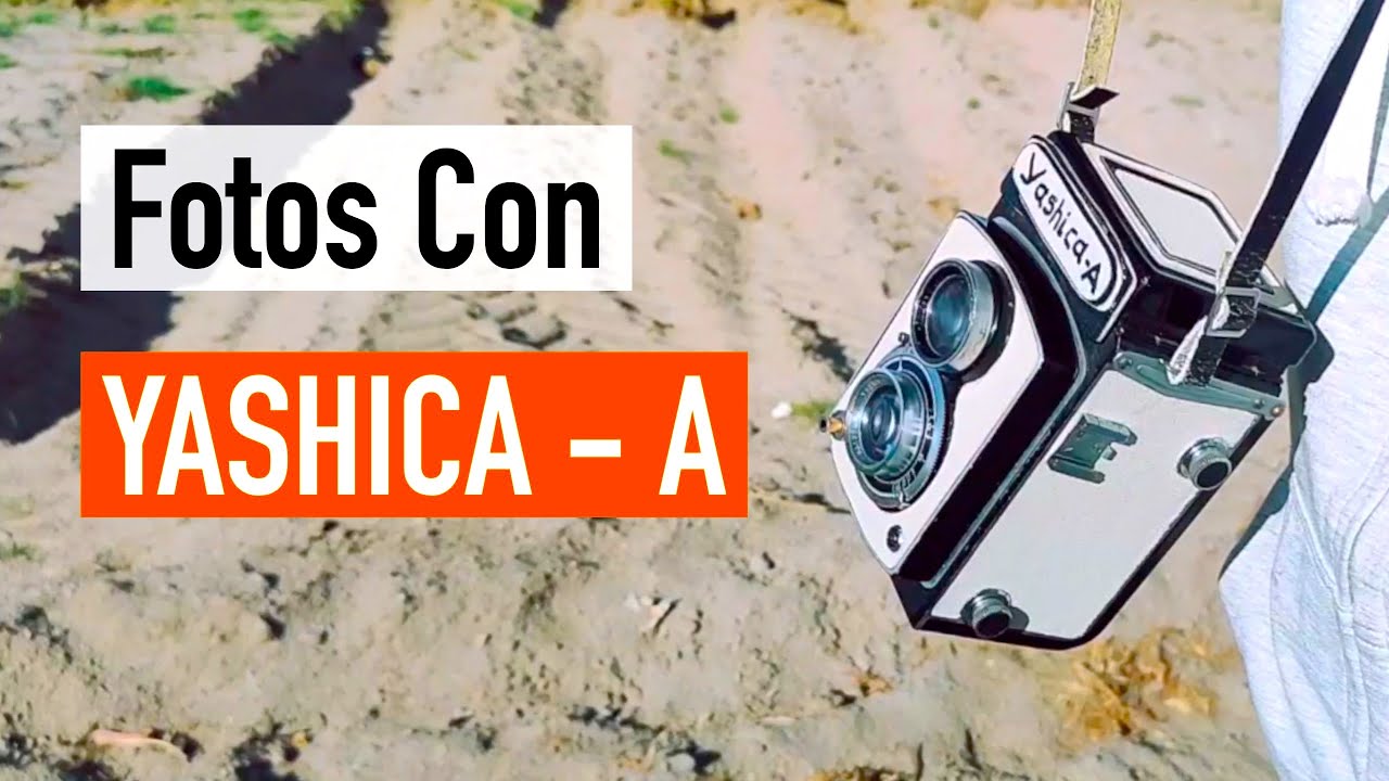 Haciendo Fotos en el Campo Con Yashica A | FOTOGRAFIANDO