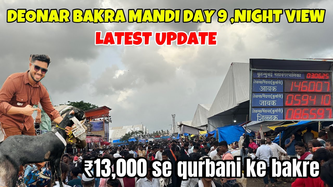 Deonar Bakra Mandi Day 9 Night View||Latest Update||#deonar #deonarmandi #deonarbakra #bakramandi