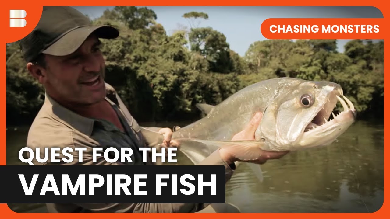 Vampire Fish Hunt - Chasing Monsters - S02 EP09 - Nature & Adventure Documentary