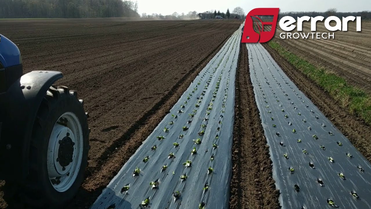 Ferrari FPC Film Layer and Transplanter – all in one passage