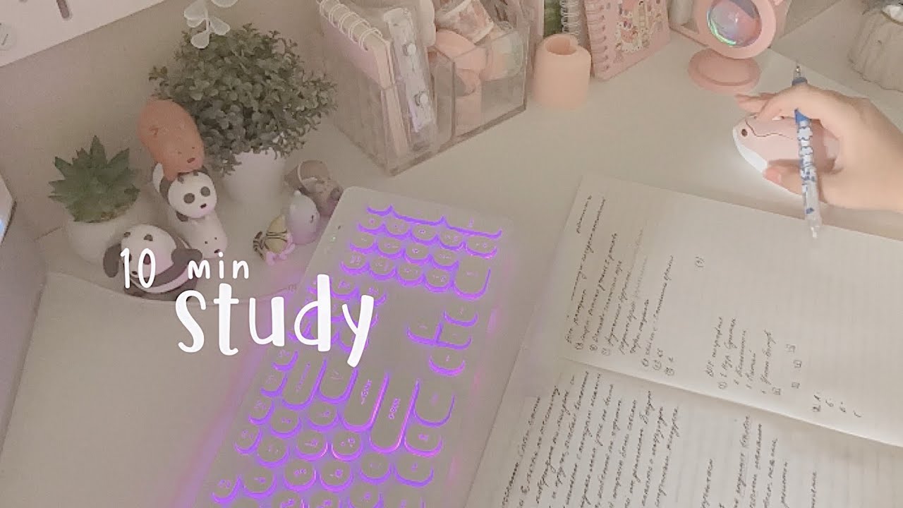 🎀10 min study with me