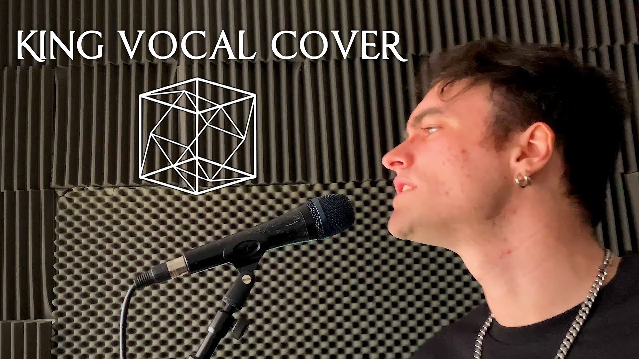 TesseracT - KING (FROM SONDER) - VOCAL COVER
