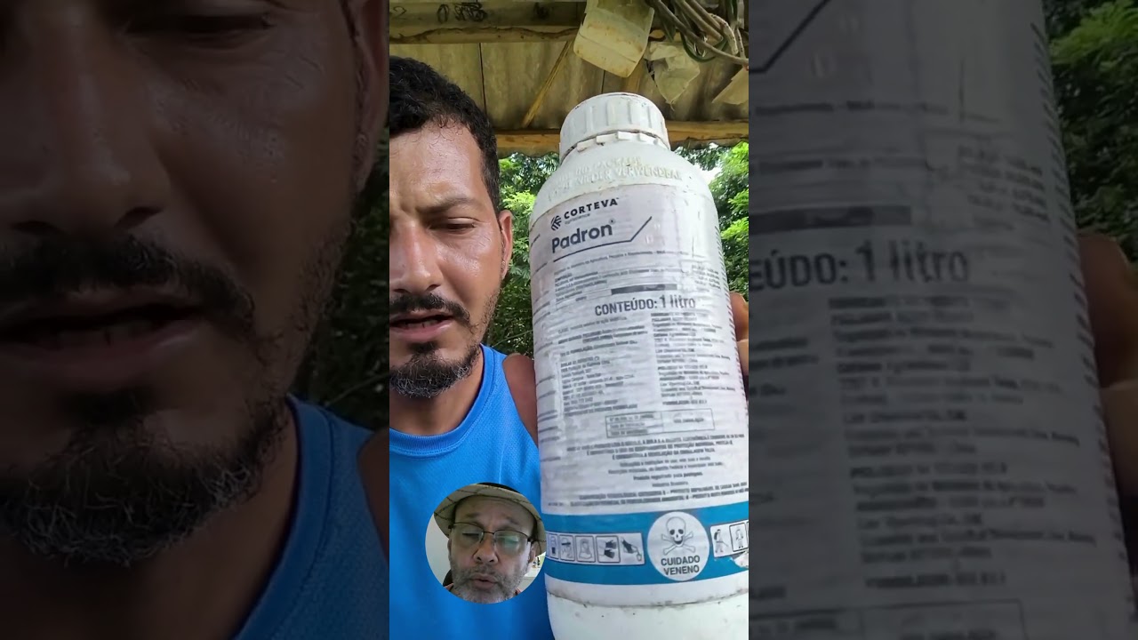 Como acabar com o mato lenhoso