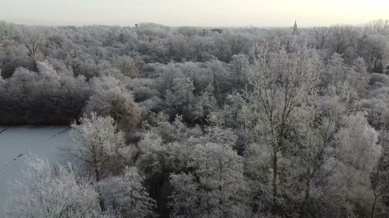 Winterbeelden