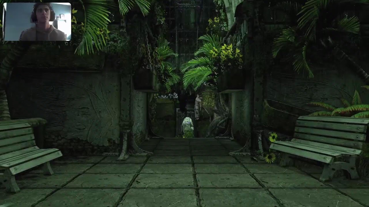 Batman arkham asylum platnium run