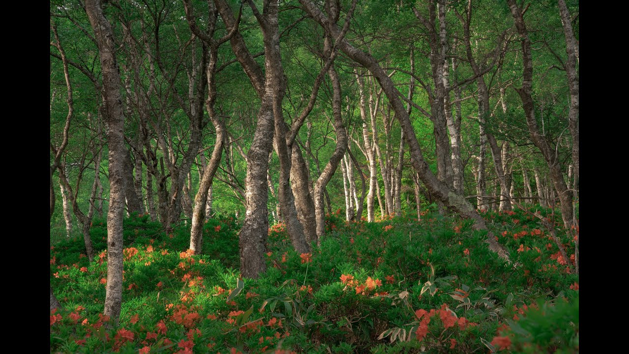 Composition images　[風景写真]　スライドショー　Photoshop　Lightroom 　　カメラ　Landscape photogra