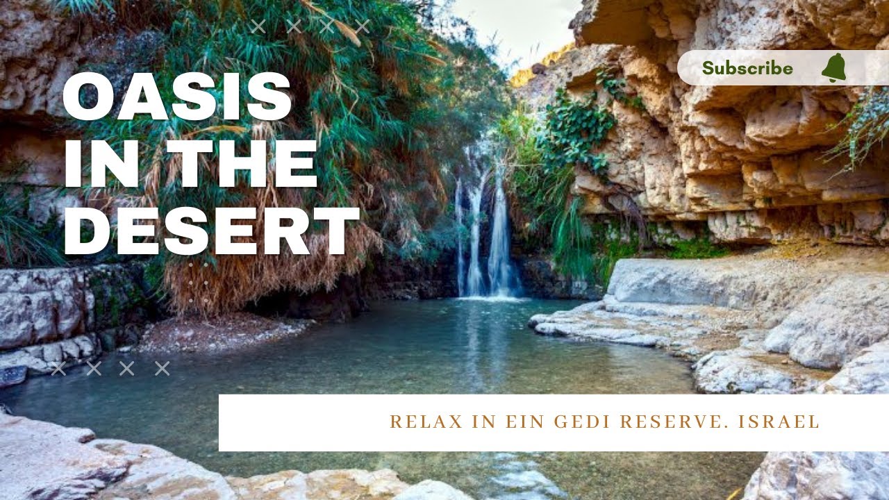 Oasis in Judean Desert. Israel.