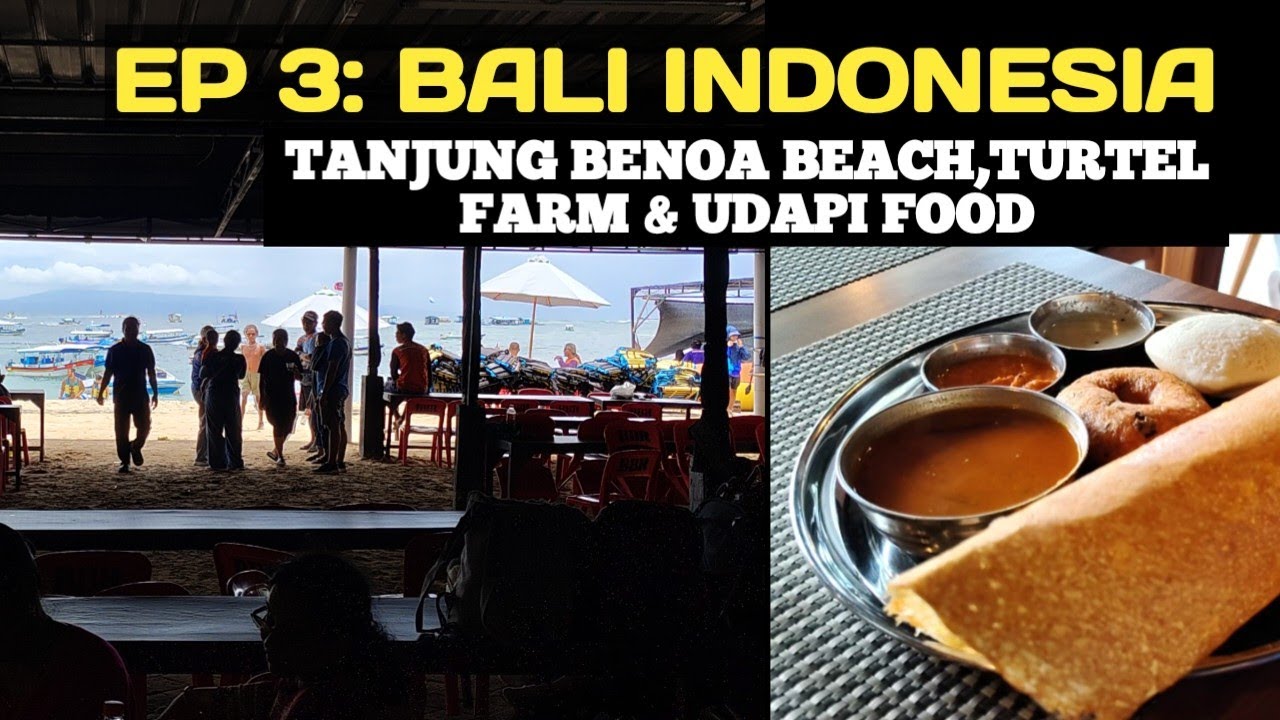 EP 3 : Tanjung Benoa Beach & Turtle Conservation 🌊 Indian Udapi Food !