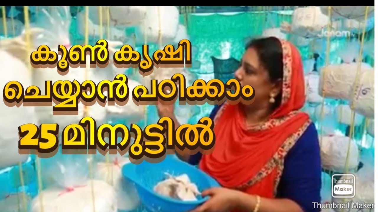 കൂൺ കൃഷി ചെയ്യാൻ പഠിക്കാം 25 മിനുട്ടിൽ|Mushroom Cultivation tips&tricks malayalam| Fz Life