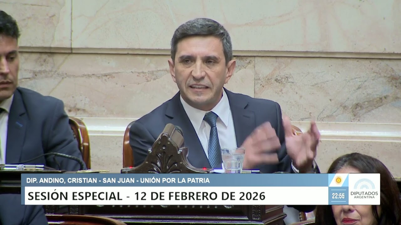 Diputado Andino, Cristian - UxP - Sesión 12-02-2026 - PL